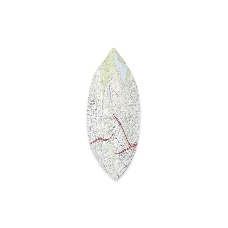 Castro Valley CA Map (2018) Throw Pillow