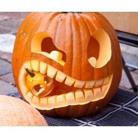 CZ Grain 20 Big Max Pumpkin Seeds for Planting - Great for Jack-O-Lantern