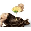 The Body Shop Ginger Anti Dandruff Shampoo, 400 ml