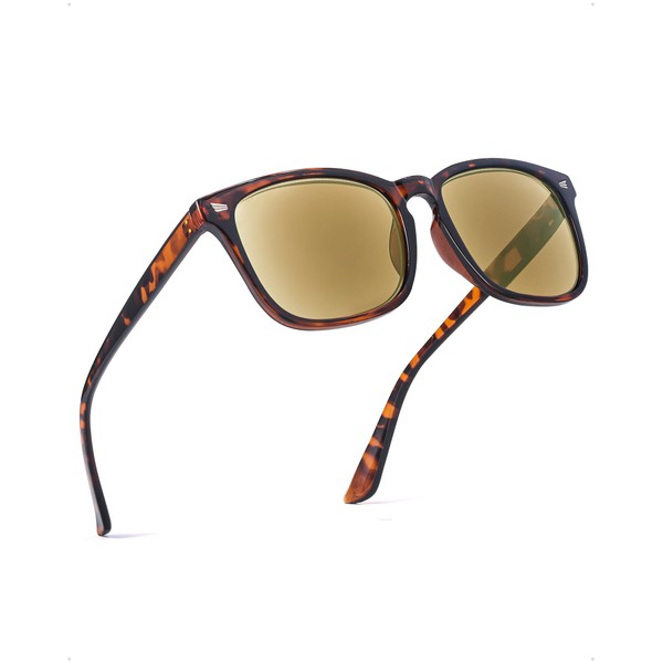 IGnaef 2.5x Reading Sunglasses for Women Men, Full Lens Readers