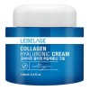 Lebelage Crema Facial cido Hialurnico Antiedad 100ml Corea