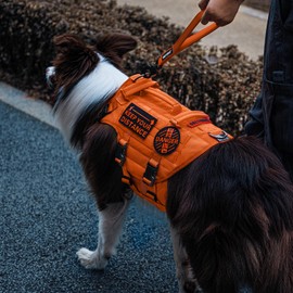 OneTigris Bolt Short Dog Lead 30 cm, Short Dog Lead with Tiger Tooth Metal Clip and Soft Padding, Reflective Nylon Dog Lead Suitable for Medium Large Dogs