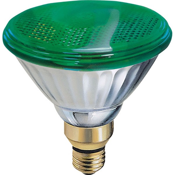 GE Lighting 13474 85-Watt Outdoor PAR38 Incandescent Light Bulb, Green