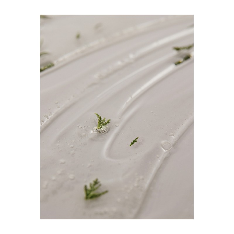 Botanic Repair Shampoo 400ML / 보타닉 리페어 샴푸 400ML