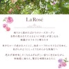 House of Rose La Rose Shampoo, RG, 8.5 fl oz