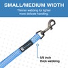 Blue-9 Reflective Multi-Function Dog Leash, Double Attachment Adjustable Lead for