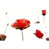 Yeahgoshopping The Torch to Rose Magic Trick – A Mesmerizing