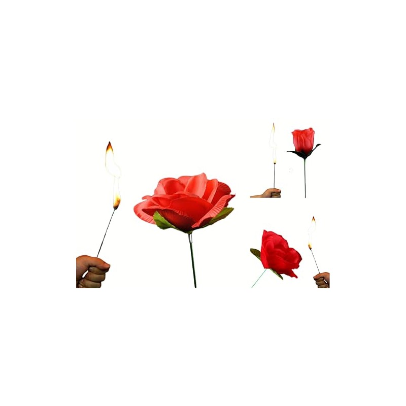 Yeahgoshopping The Torch to Rose Magic Trick – A Mesmerizing