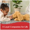 GUND Muttsy Dog Plush, Premium Plush Puppy Stuffed Animal for