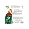 Champú Difeel Elevated Rosemary Mint Con Biotina 12 Oz. -