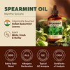 KUKKA essential oils Spearmint Essential Oil for Diffuser & Eucalyptus