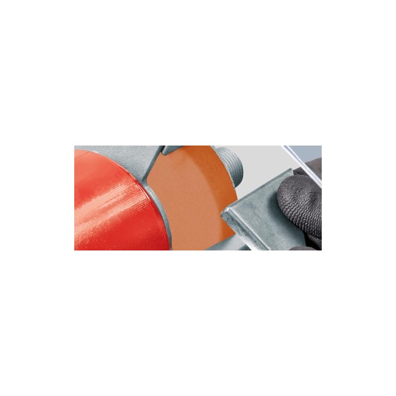 Original Einhell Sanding Disc Diameter 75 mm (Double Sander Accessories,