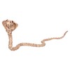 Crazy Bonez Skeleton Cobra