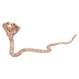 Crazy Bonez Skeleton Cobra