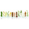 Herbal Stamp Ginger Lemongrass Pack of 4 75 g Strengthens