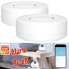 Luminea Home Control Water Alarm: Set of 2 WiFi Water