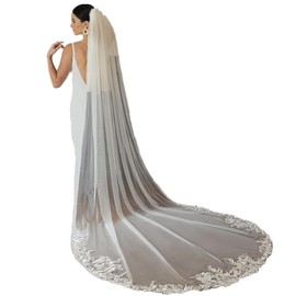 Roseeden1T one Tier long Lace Veil wedding bridal woman long veil soft tulle veil with metal comb (Lace 01 (White), Length 118"，Width 59“)