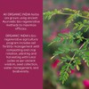 Organic India Triphala - Herbal Supplement with Amla, Bibhitaki, Haritaki,