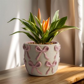 Yokiiimakiii Ceramic Flower Pots for Indoor and Outdoor Plants, Succulent Orchid Round Clay and Terracotta Planter for Garden Home Modern Decoration 5.3 Inch (Pink Bow, Without Saucers)