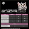 MAINTENANCE CAT 2.72 KILOS