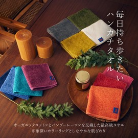 Handkerchief, Hand Towel, Gift, Hippopotamus, Towel Gift, Enveloped, Imabari, Organic Towel, 9.8 x 9.8 inches (25 x 25 cm), Brand, Luxury Towel, Cotton, Bamboo Rayon, Fluffy, Long Lasting, Made in