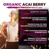 MySuperfoods Organic Acai Berry Powder 200g, Natural Source of Antioxidants