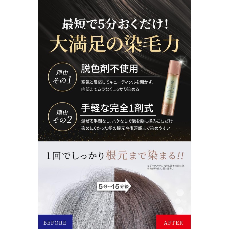 Hair Boteecra Botanical Air Color Foam EX Light Brown 5.3