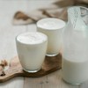 Good Gut Tribe - Organic Vegan Soya Yoghurt Starter Culture