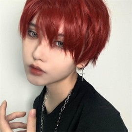 Wig, Men's Short, Natural Wig, Men's Clothing, Cosplay, Cosplay, Everyday, Heat Resistant, Wig, Women's, Cool, Full Wig, Men, Adjustable, Handsome Breathable, Unisex (Brown and Red)