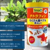 Tetra Tetrafin 90g Goldfish Bait