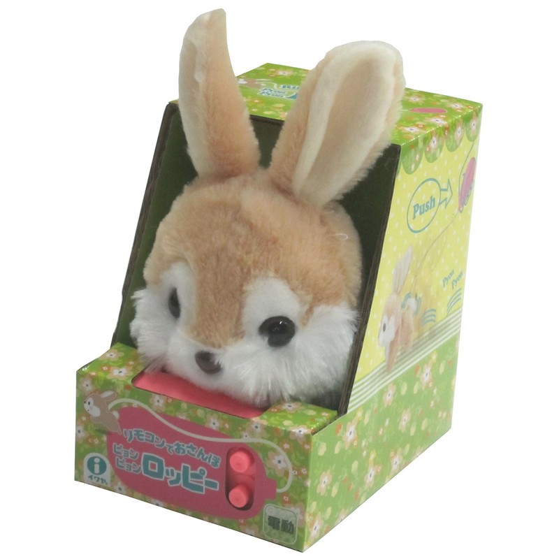 RC Bunny Roppy