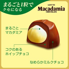 LOTTE 4 PACK LOTTE  WHOLE MACADAMIA JAPANESE COVERED CHOCOLATE
