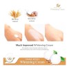Crema Antiarrugas Y Antimanchas / Snail Wish Whitening Cream