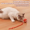 Chewy Viral Rolling Ball for Dog Cat, Viral Rolling Ball