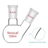 stonylab Flat Bottom Flask FBF, Heavy-Walled 2-Neck Laboratory Flask Borosilicate