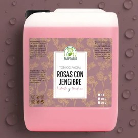 Tónico Facial Hidratante Productos Mart de Rosas y Jengibre para Día y Noche