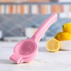 Metal Manual Citrus Lemon Lime Squeezer Juicer, Fruit Juicer, Metal,