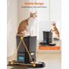 HoneyGuaridan Automatic Cat Feeder for 2 Cats, Automatic Cat Food