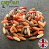 Artificial Pop Up Flavour Infused Maggot Casters for Carp and