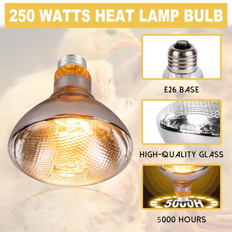Wesome Lighting 250 Watt Heat Lamp Bulbs for Chickens, PAR38