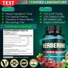 SATOOMI 25in1 Berberine Supplement - Body Management & Immune System