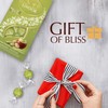 Lindt Lindor Limited Edition Pistachio Milk Chocolate Truffles – Bulk
