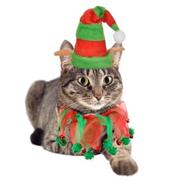 Disfraz de gato de Navidad con sombrero de elfo y cuello de campana, accesorios de disfraz para gatos y cachorros, 2 unidades