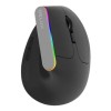 Delux Mouse vertical inalámbrico Delux M618C black