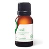 Aromatics International Basil Sweet Essential Oil 15ml