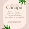 Eco Beauty Geschenkbox, natürlich, AMAS 1 festes Duschbad+1 festes Shampoo