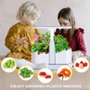 SLARY Hydroponics Growing System Mist Humidifier, 11 Pods Indoor Garden