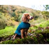 Henry Wag Quilted Dog Jacket - Stylish & Practical Dog