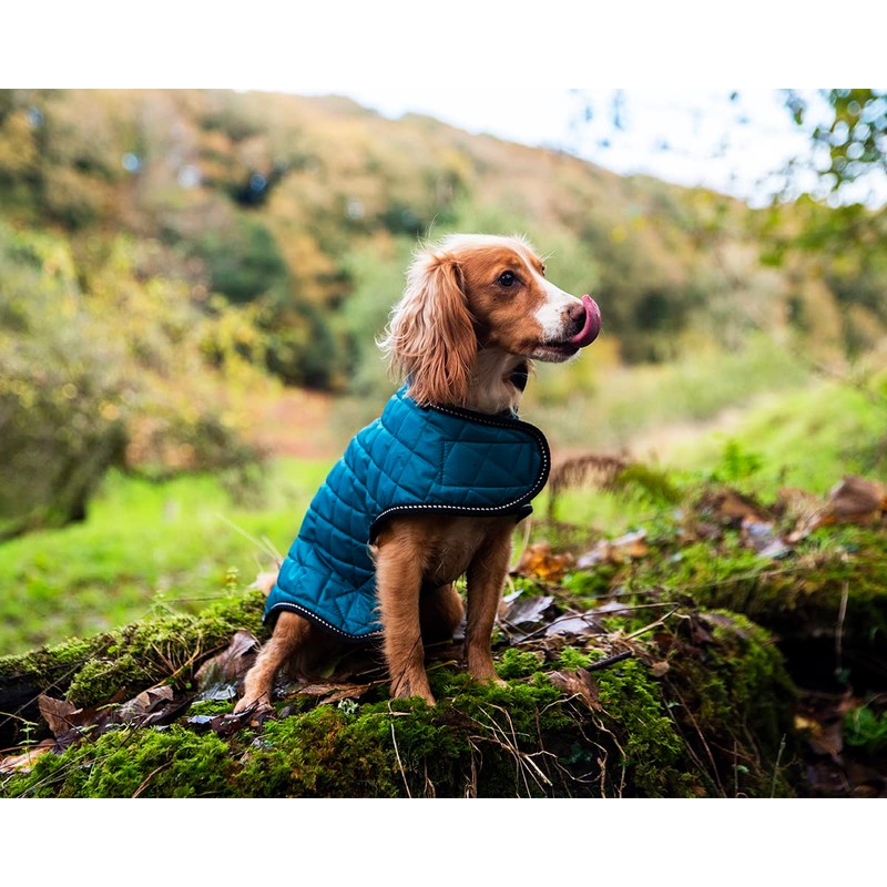 Henry Wag Quilted Dog Jacket - Stylish & Practical Dog