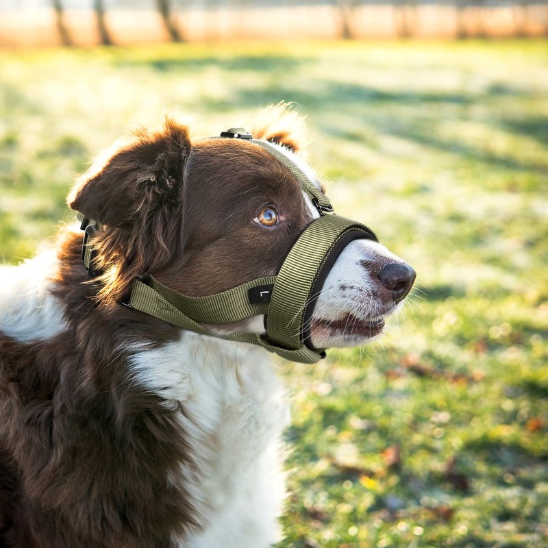 HEELE Dog Muzzle with Head Strap and Adjustable Loop and